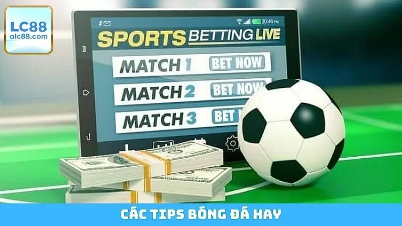 Các Tips Bóng Đá Hay