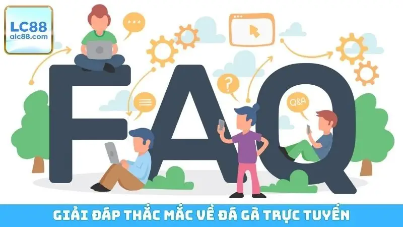 Giải đáp thắc mắc về đá gà trực tuyến